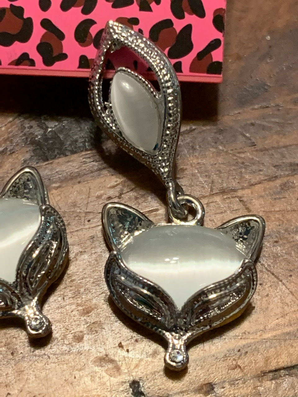 Psychic Pet Communication