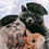 Thumbnail: Mob Cats! 