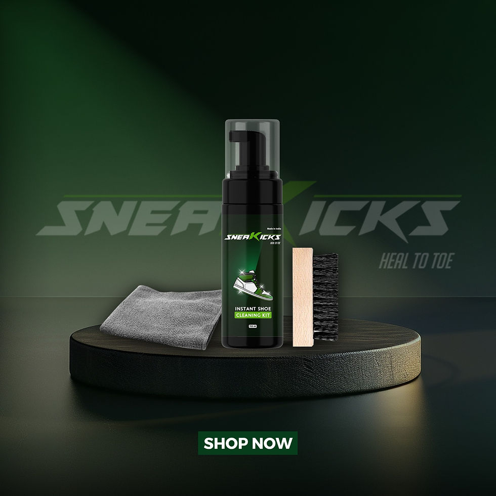 Sneakicks Starter Cleaning kit..