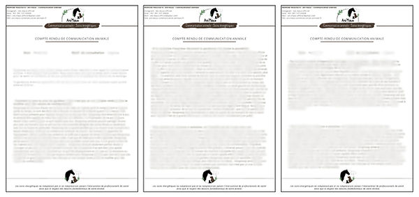 Urgence communication animale