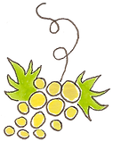 Sézanne - Champagne - Chardonnay