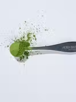 A Matcha Made in Heaven: Alma Matcha Serves (and Spills) the Tea in South Florida