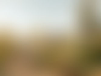 In The Zone in Scottsdale: Why You Should Visit Scottsdale, Arizona