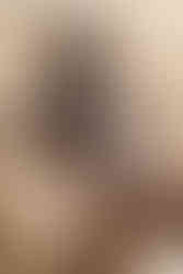 CAMI NYC's RAFELLA TOP SEASIDE BANDANA and OSLO SILK COTTON SHORT SEASIDE BANDANA