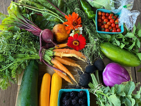 A Healthy Start: A Conversation With The Raleigh City Farm
