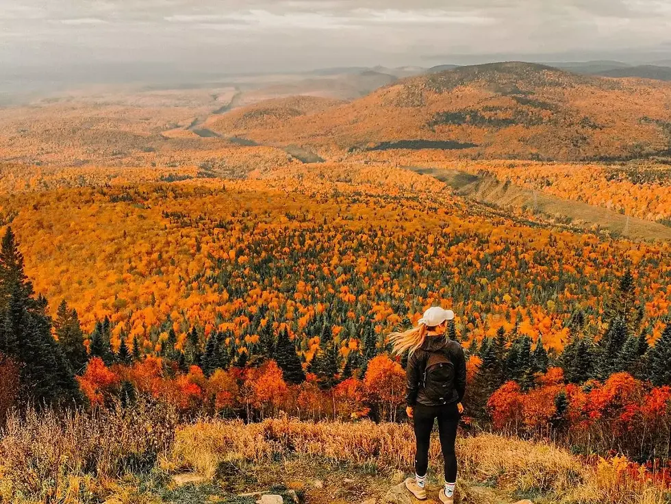 Hiker with backpack overlooks a vast autumn mountain forest of orange and red trees under cloudy skies.