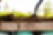 Compost-(72).jpg