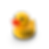 Saxon-Duke_FLYING_E.png