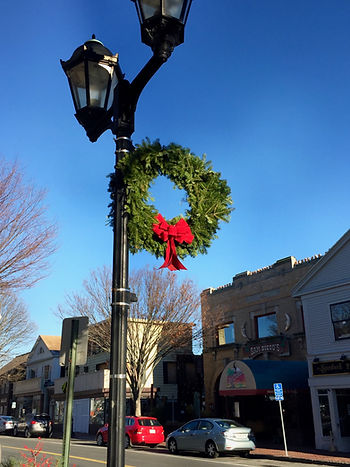 Town of Plymouth Christmas Tree