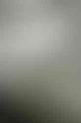 Modernios klasikos interjeras_Geco studija