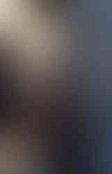 Modernios klasikos interjeras_Geco studija