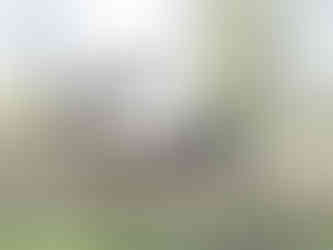 Autentiška sodyba prie ežero