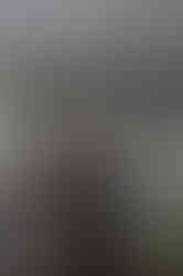 Modernios klasikos interjeras_Geco studija