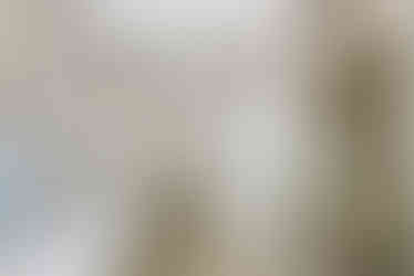 Modernios klasikos interjeras_Geco studija