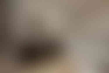 Modernus, eklektiškas interjeras_Geco studija