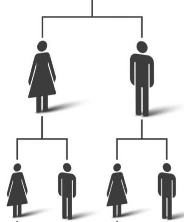 FAMILY TREE SEMI SKIMMED.JPG