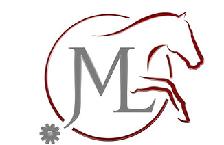 Micheal Lyons Logo MASTER 3D_edited.jpg