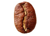 Screenshot 2025-09-15 at 14.59.05.png