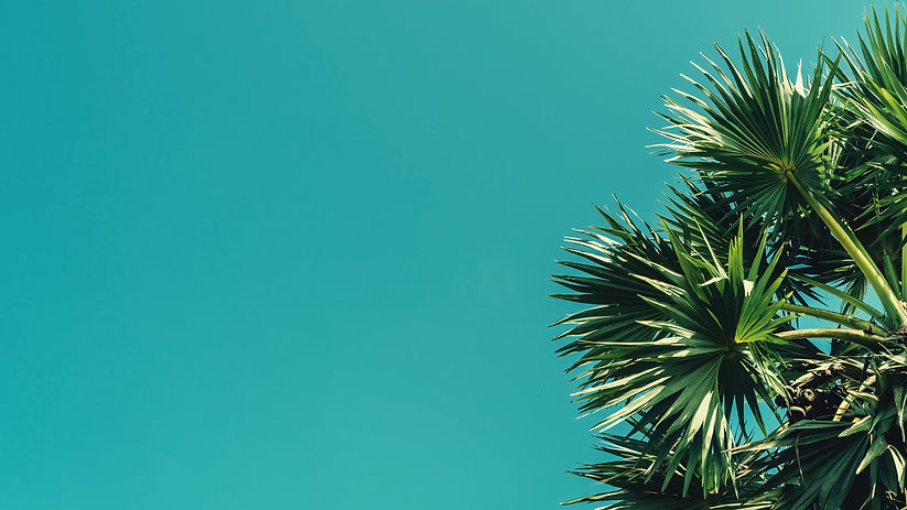 AdobeStock_251505203.jpeg