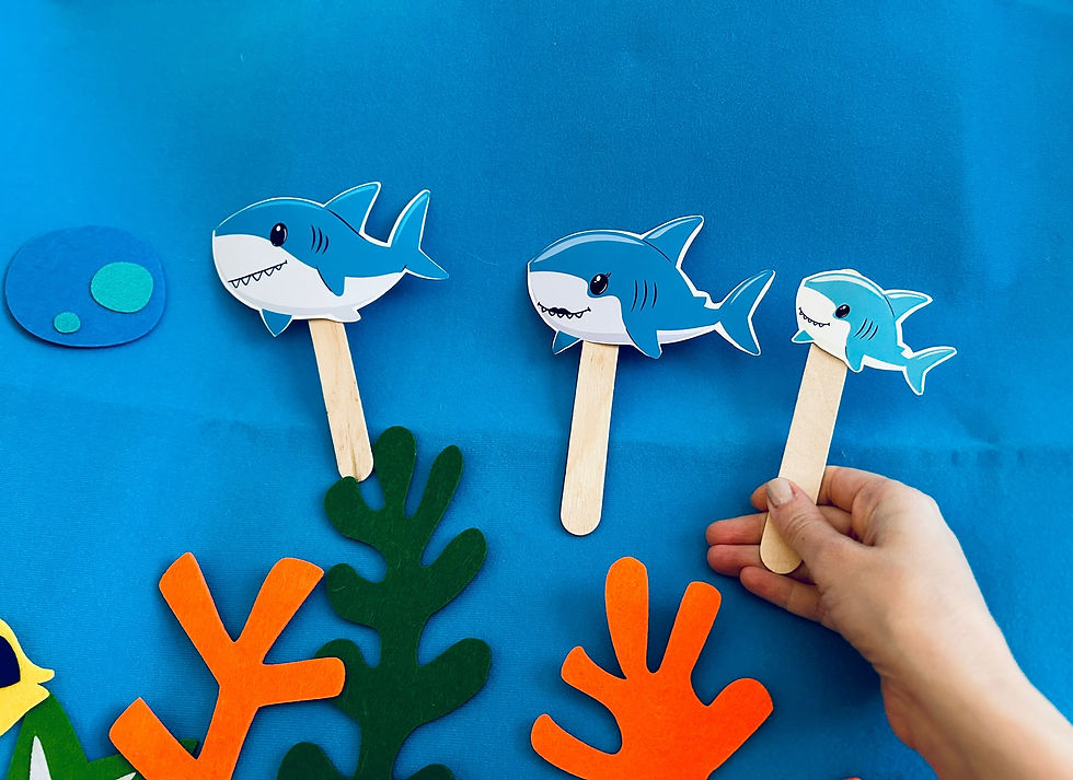 Our little shark family