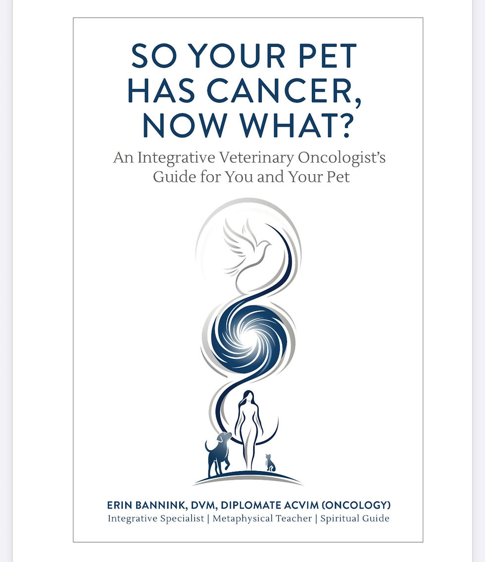 "So Your Pet Has Cancer; Now What" Book by Dr. Erin Bannink