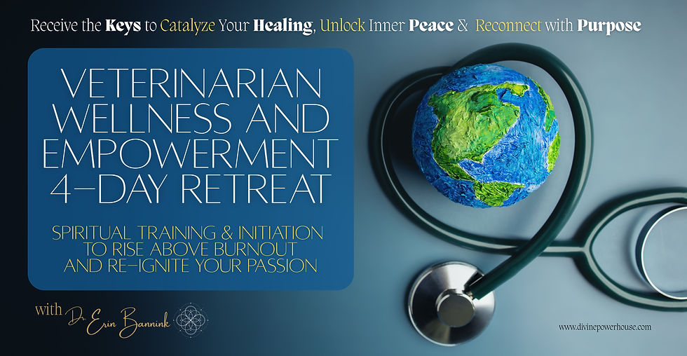 Wellness and Empowerment Retreat: Special Event for veterinarians 2026