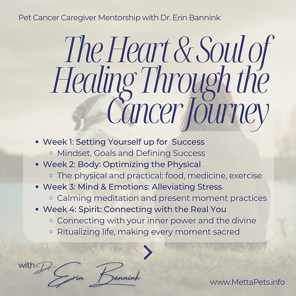 Pet Cancer Caregiver Training Sliders - 5.png