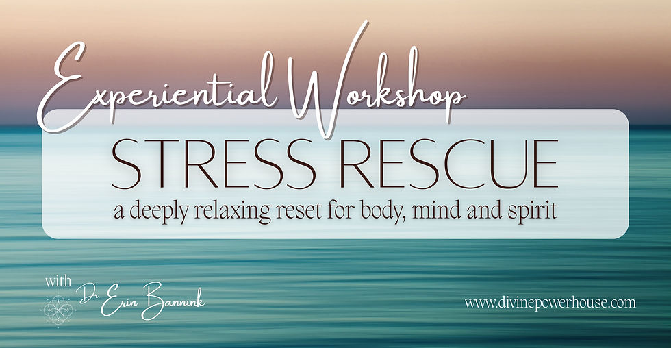 Stress Rescue Experiential Workshop