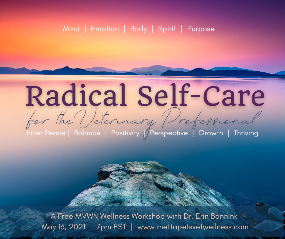 Radical Self-Care for Veterinary Professionals