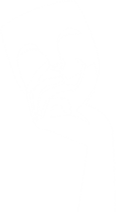 shutterstock_2525223929 [Converted].png
