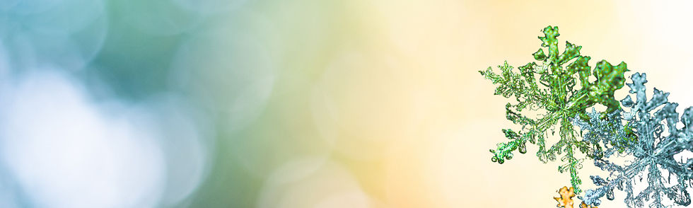 Hintergrund bunt Sterne_edited_edited.jpg