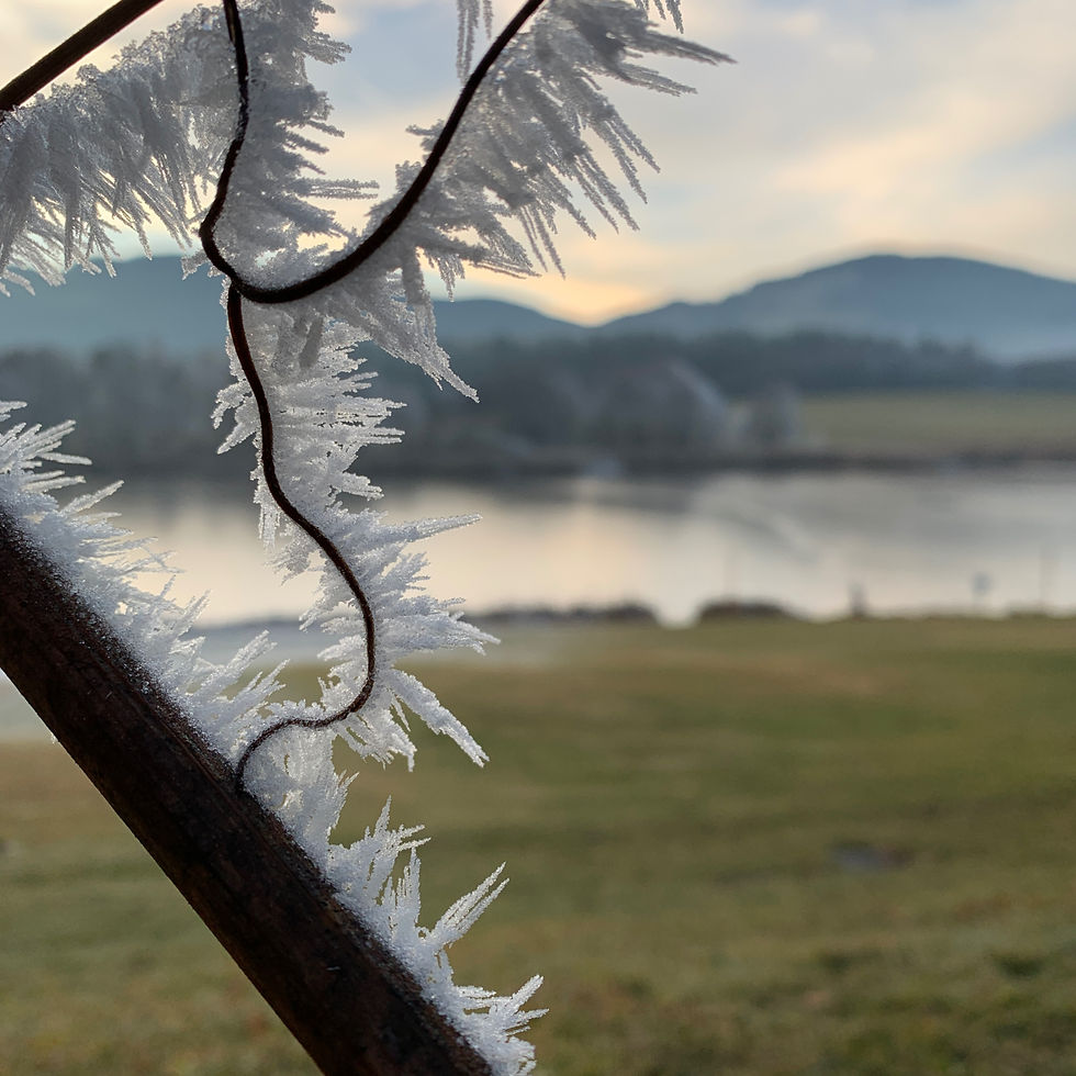 Winterstimmung