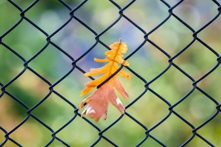 5 Different Uses for Chain Link Fence
