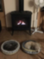 Two dogs in front of a burning fireplace