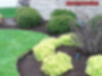 Top Soil
