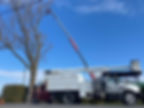 Abattage d'un arbre à l'aide d'un godet