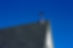 roof 7