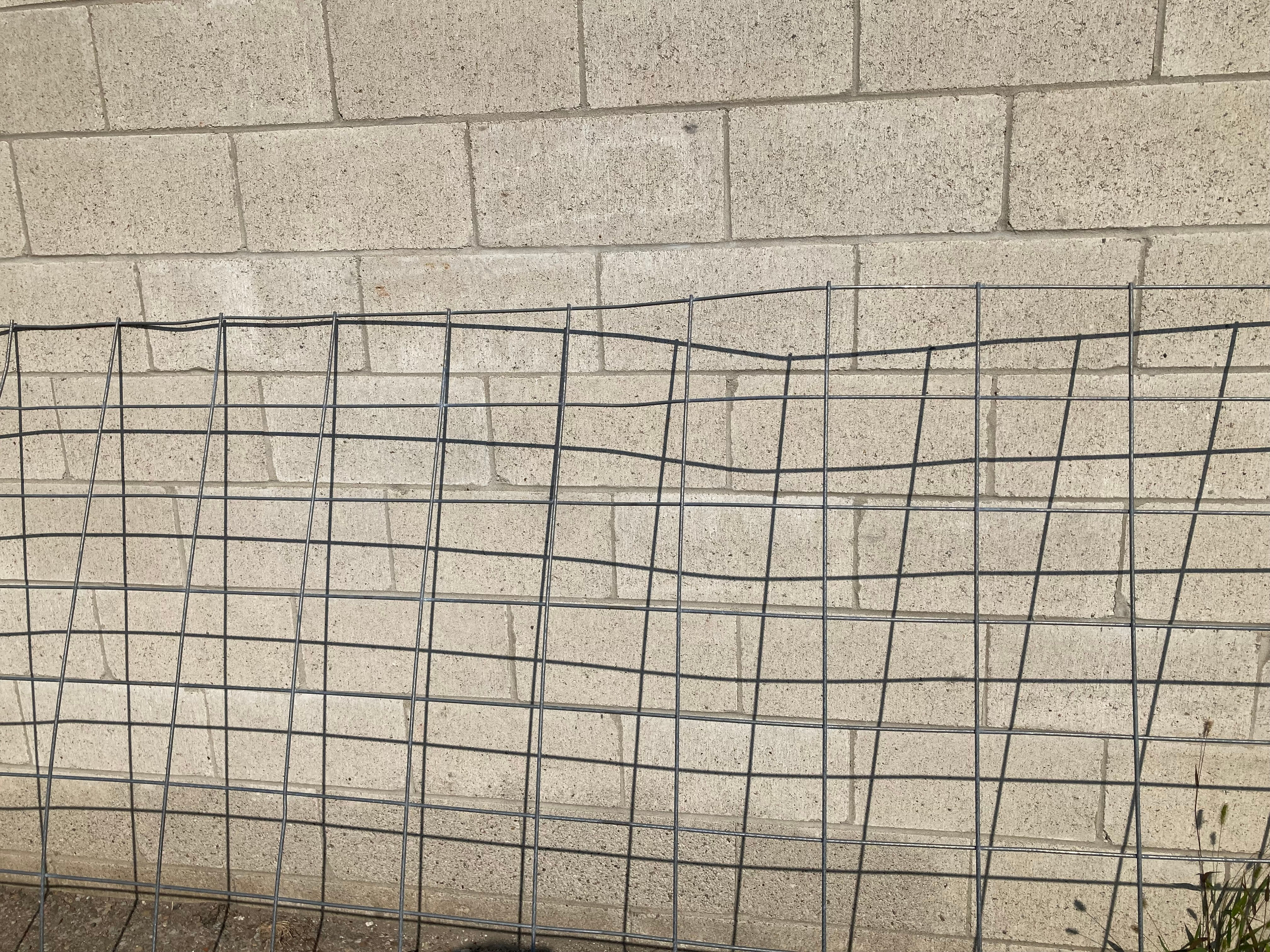 Cattle Panel 16ft x 50” - Scratch & Dent