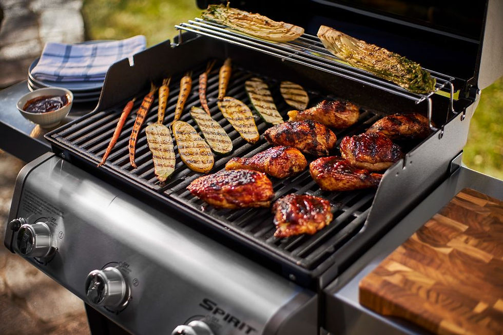Miniature : Weber Spirit E-315