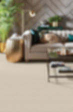 Living room with carpet flooring