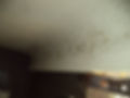 Mold 9