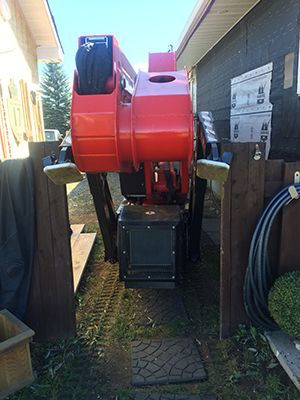 Turgeon Tree Removal