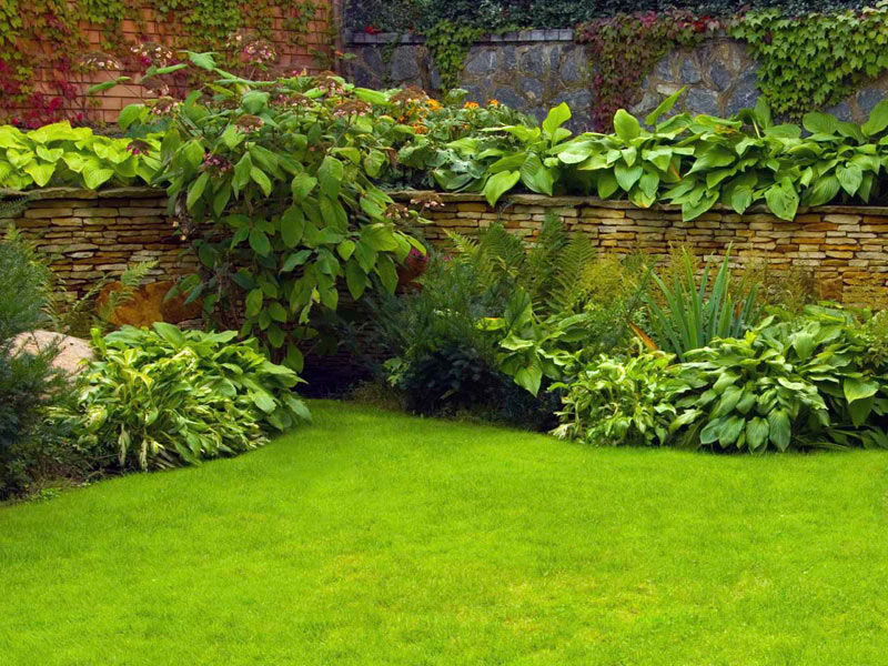 Retaining Wall