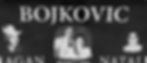 Bojkovic memorial portrait design