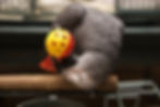 bgImage