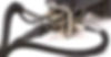 cable connected to a device
