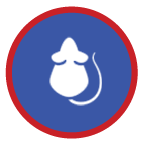 mice icon