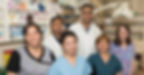 Team members