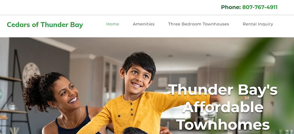 Real Estate Agents Website