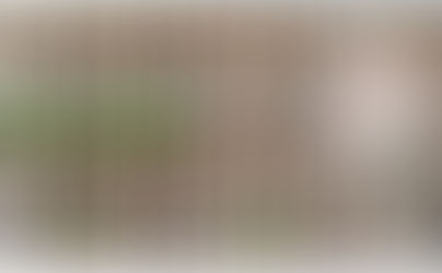 Treating and Preventing Mould in the Garage